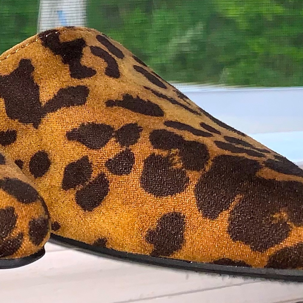 Coconuts By Matisse Leopard Print Pointed Toe, An… - image 7